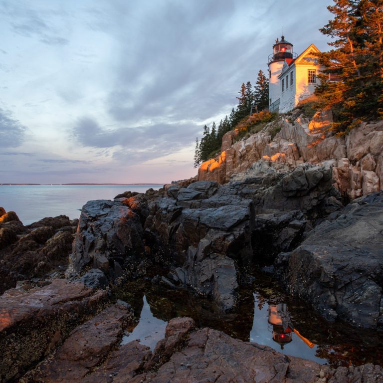 Derek - Acadia photo
